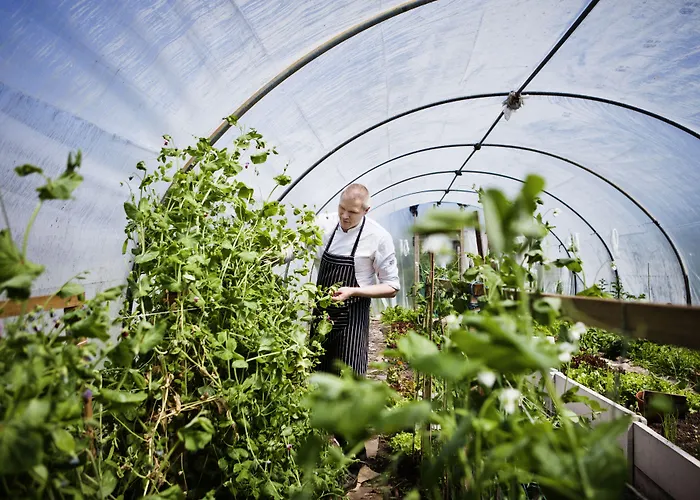 Отель Cliff House Ардмор